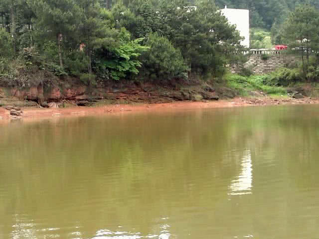 钓鱼人的困惑,这种健鲤和平常鲤鱼不一样吗?