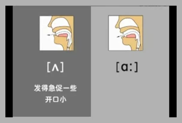 英语音标48个快速记,英语48个音标顺口溜视频教程