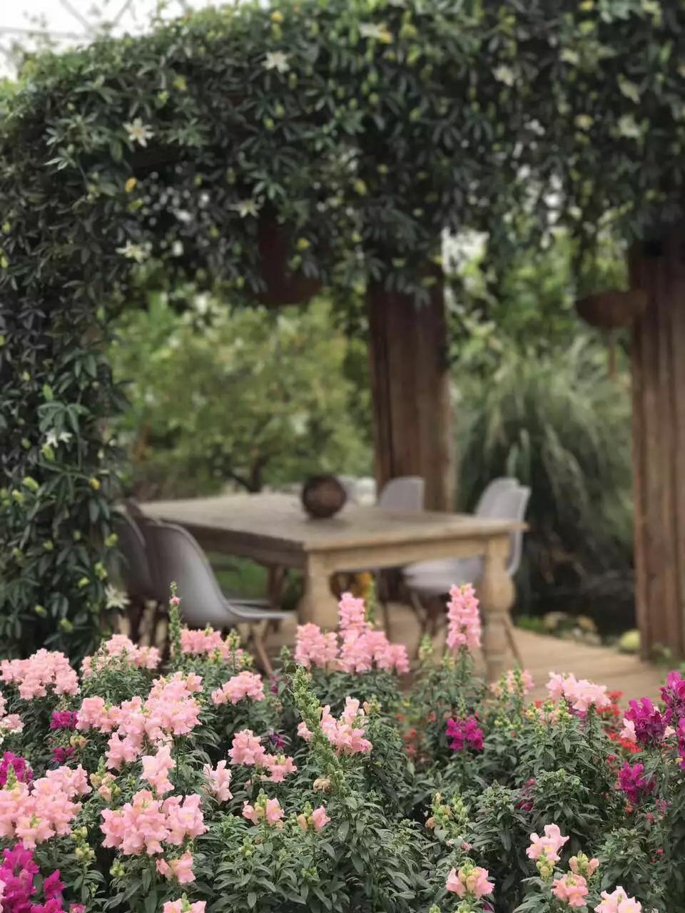 用低成本打造高颜值农场,广东夫妇超省钱