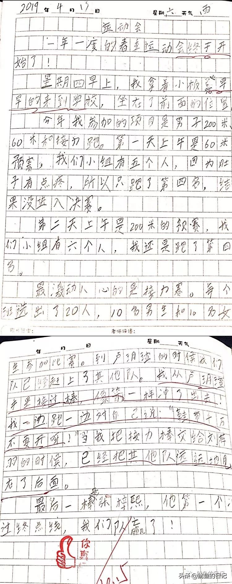 鞋带不要散,鞋带能开八百次