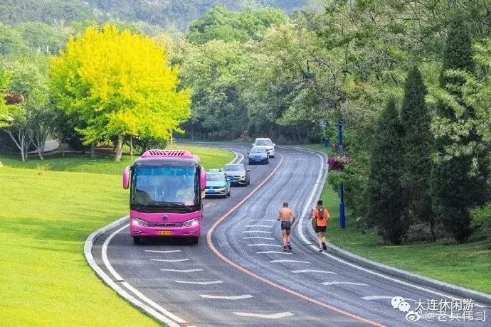 大连的沙滩哪个最好玩,大连十佳海滩排名
