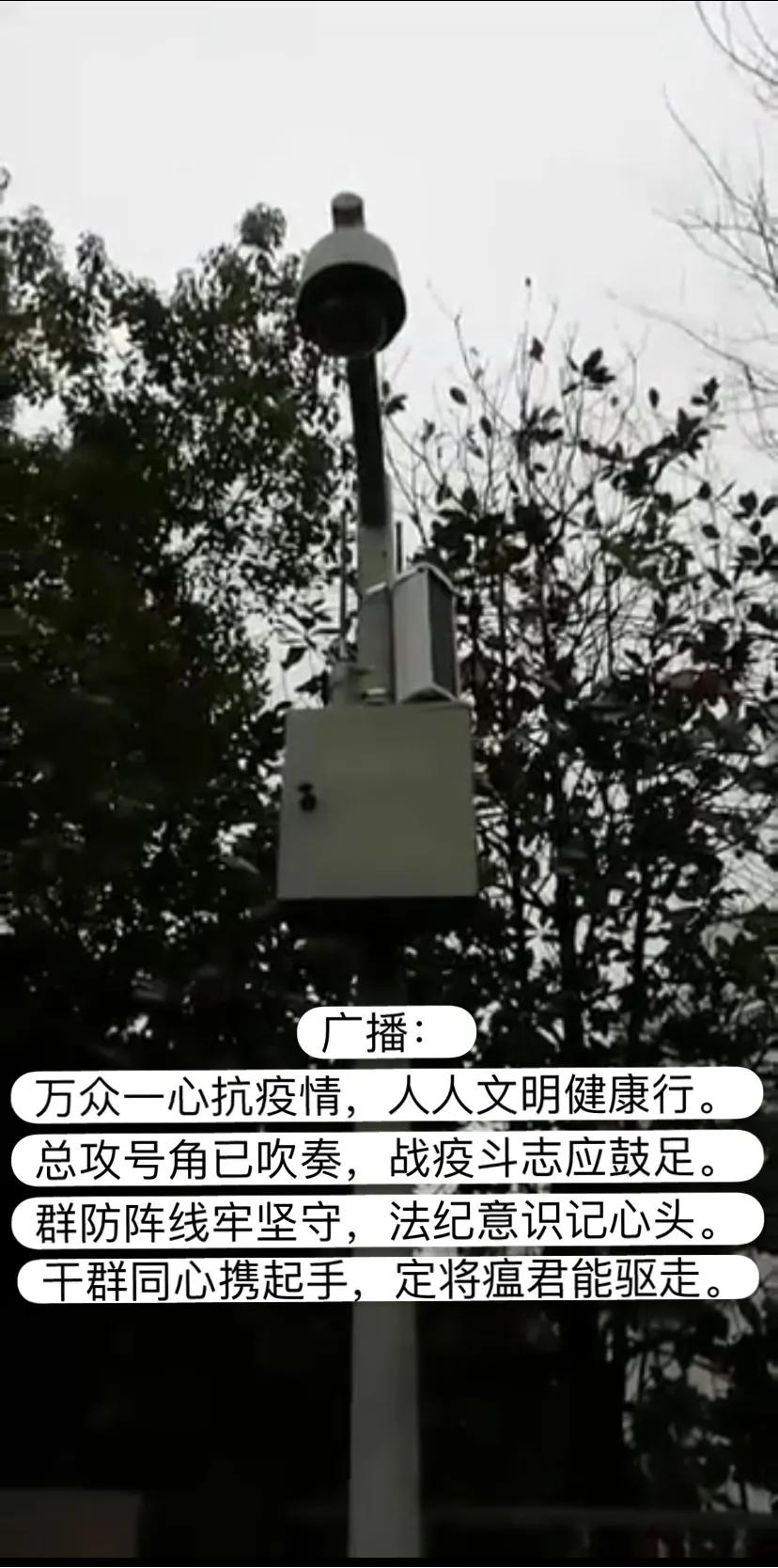 电信抗击疫情信息,武汉电信抗击疫情文章