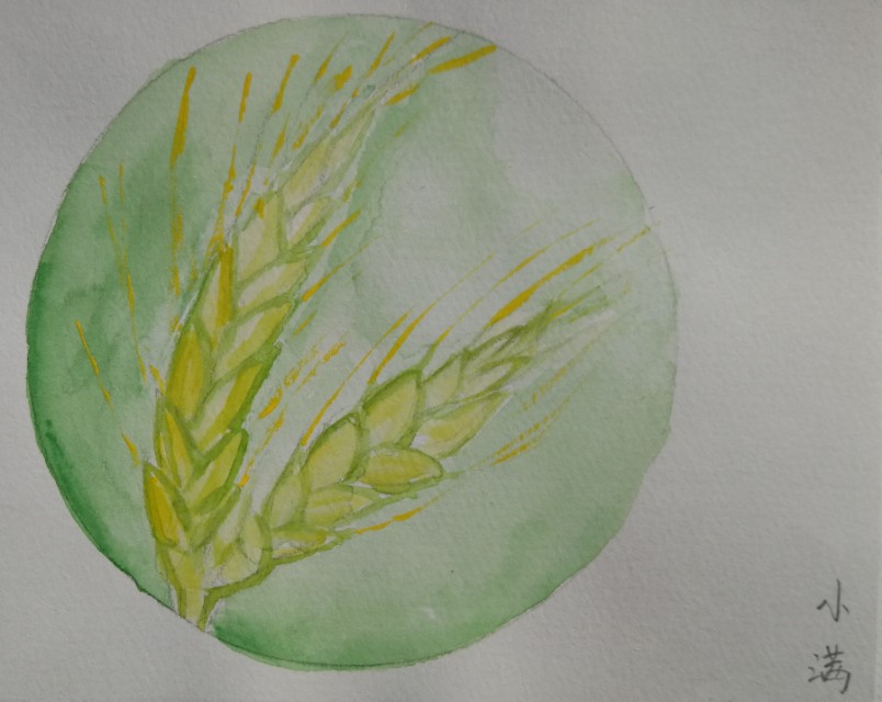 历代茶诗大全,二十四节气菜单大全