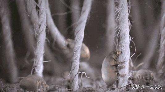 过敏性鼻炎号称不死的癌症吗,过敏性鼻炎真的束手无策了吗