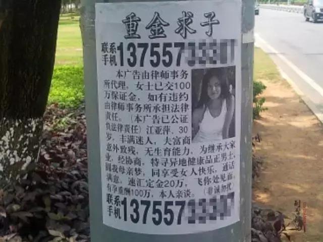 “清、管、呼、查”!临河城管向这种问题“开战”!