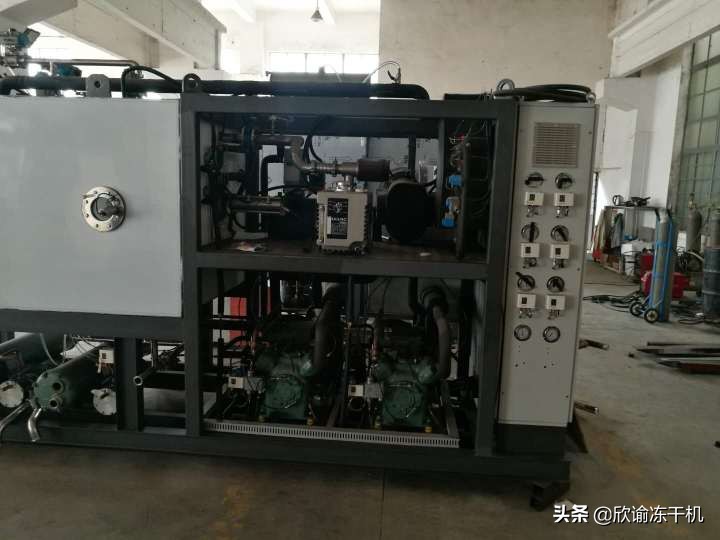 冷冻干燥机冻干标准是什么,真空干燥箱和冻干机的区别