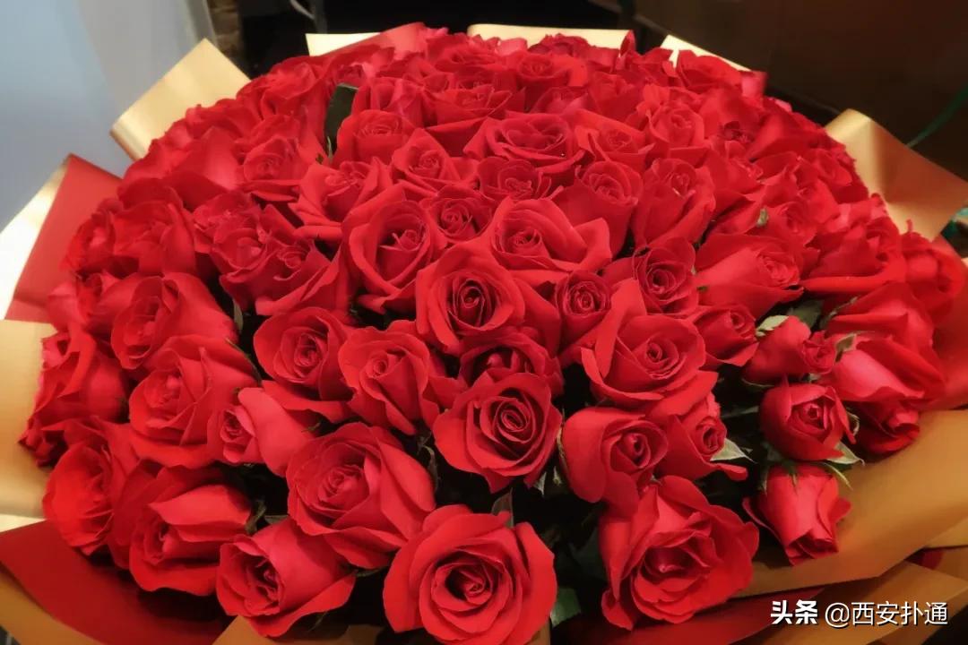 西安花市怎么买花便宜,西安最新花市