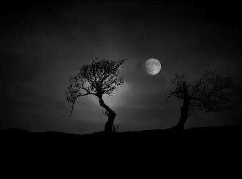 怎样才能消除自己怕黑暗的恐惧,怎样才能克服恐惧的心理