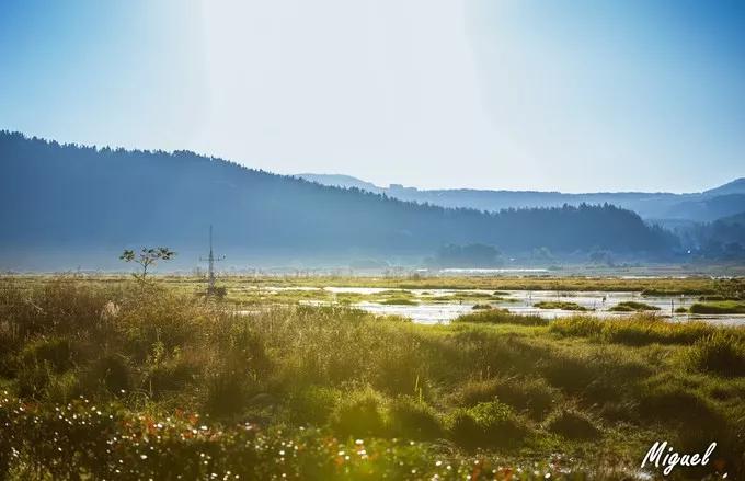 腾冲旅游攻略气温,腾冲深度旅游