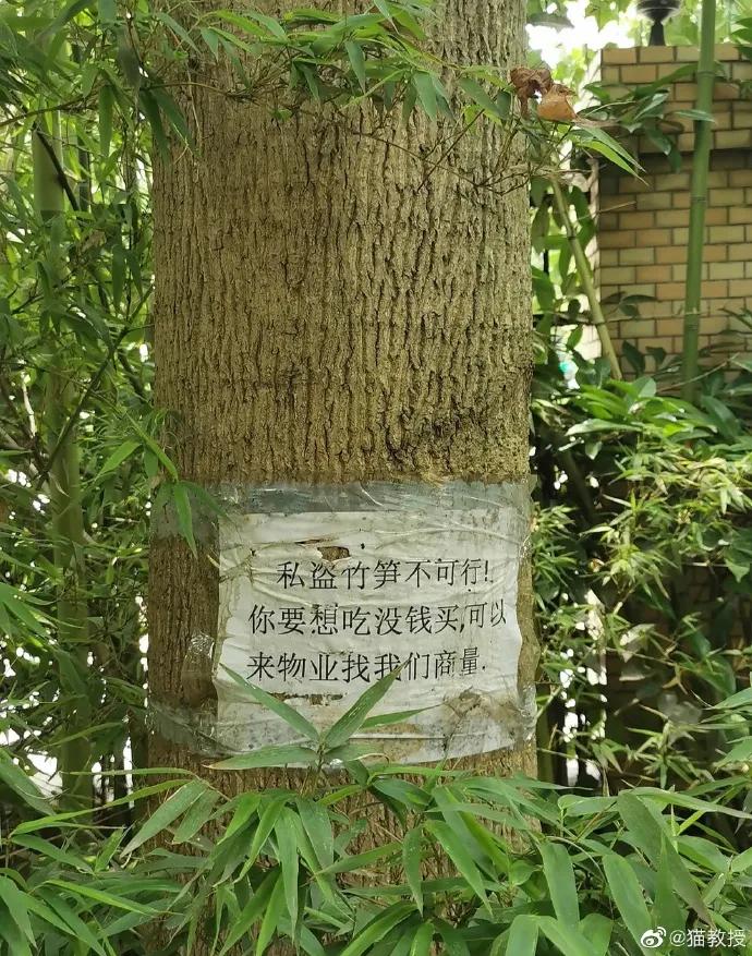 把领导杯子打碎了咋办,把领导的杯子打碎了要不要赔他