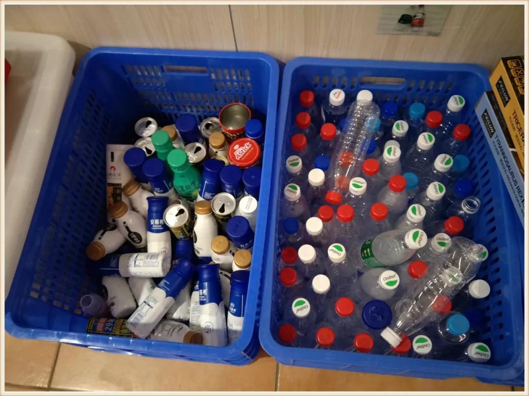 环境创设主题墙大班动物,可爱的小动物大班环境创设