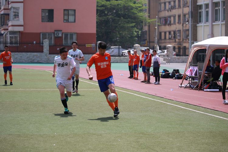 大连三鼎春天视频,大连三鼎春天怎么样