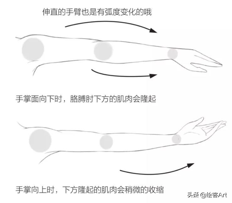 动漫人物只画一个头,大头动漫人物绘画