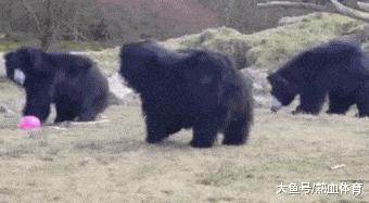 刚从后院挖出来的,大家帮我鉴定一下,我是不是要发财了?