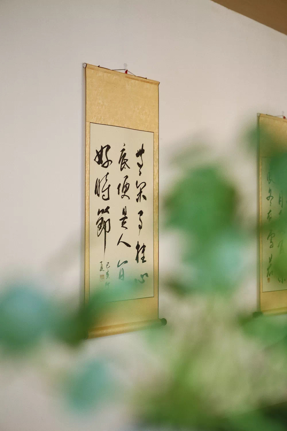 Chengduwow|借束光,请你免费去四川“小京都”泡私汤