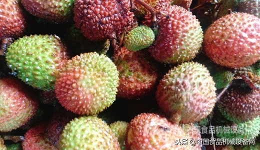 无核水果大受追捧这些设备迎来光明前景