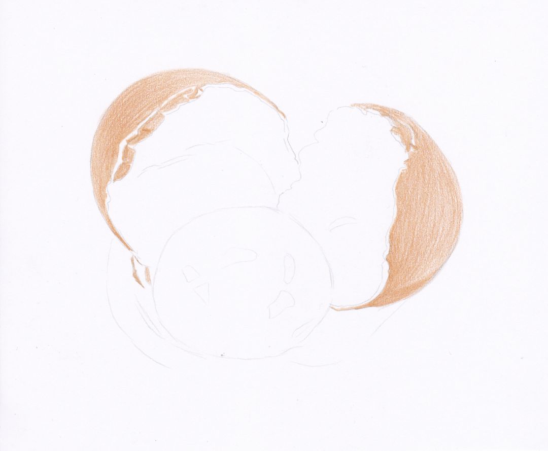 你会画可爱的东西吗,你会画一个小爱心吗