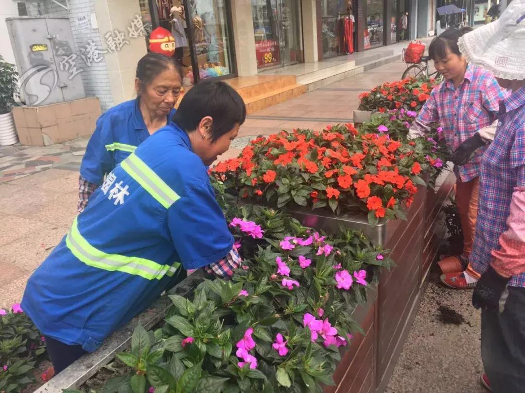 双流最近花海,双流二月花海