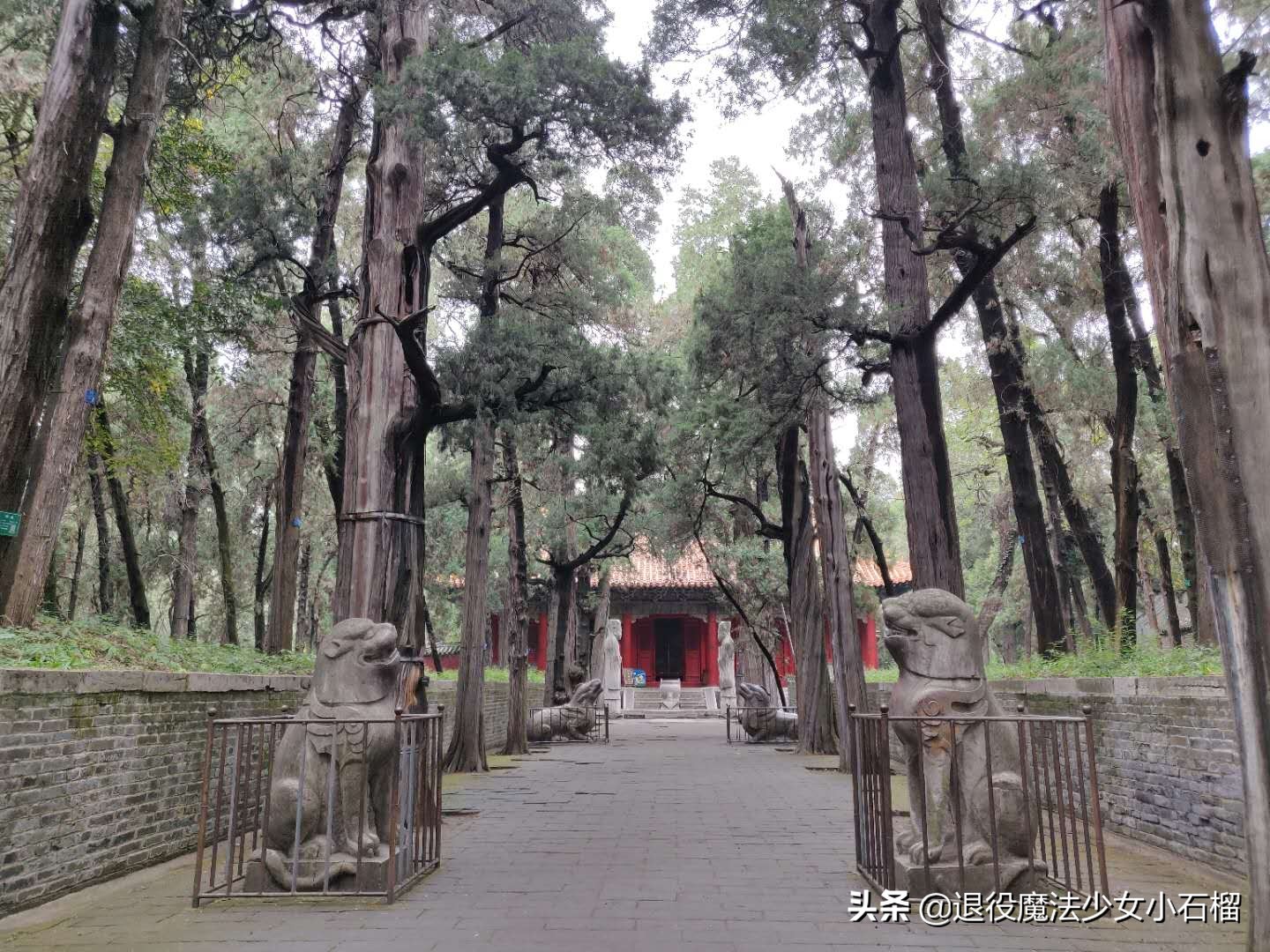 可移动的家Day12曲阜孔庙