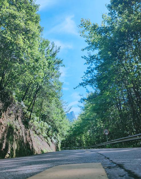 金华这座1.5亿高龄的山峰，浓翠蔽日，风清月朗，还有试胆石等你去挑战