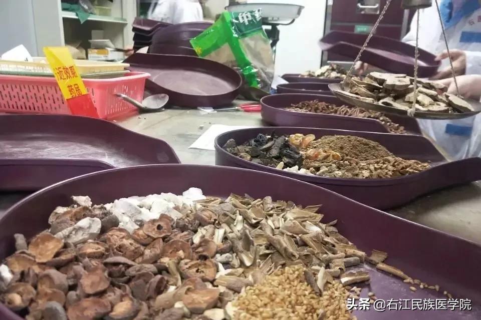 右江民族医学院护理专业,右江民族医学院各专业排名