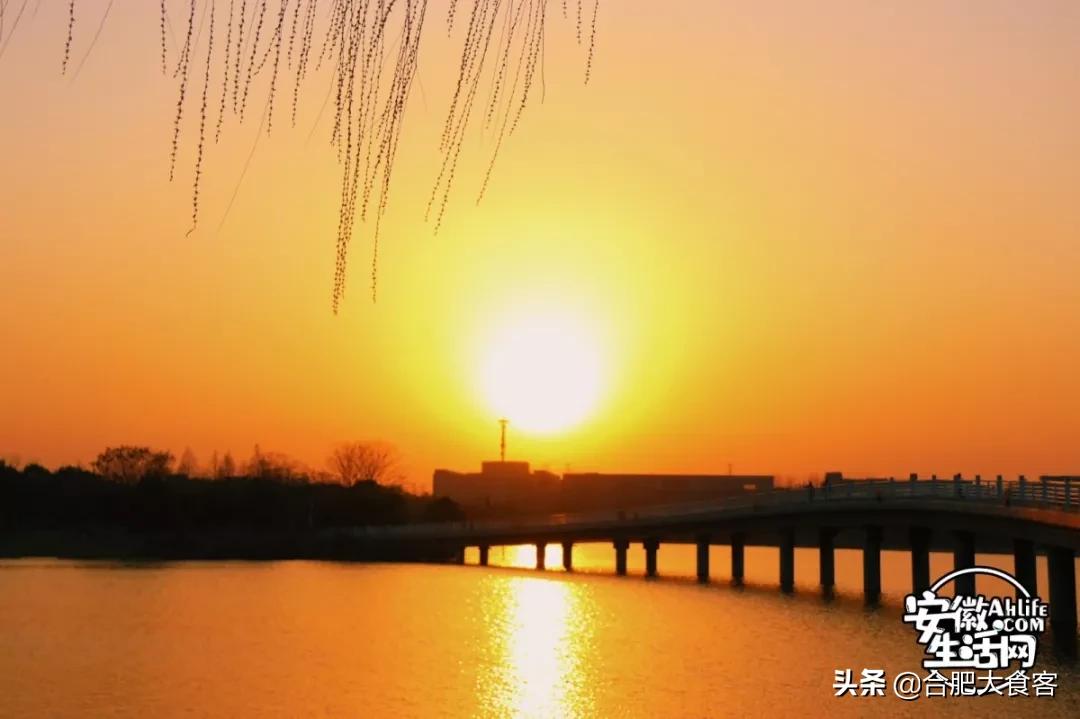 2020年，在这50个地方遇见不一样的合肥