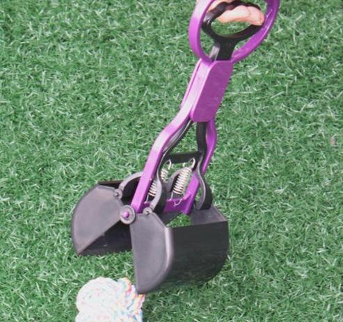 这5件东西不能借,这五件事情不能对狗狗做