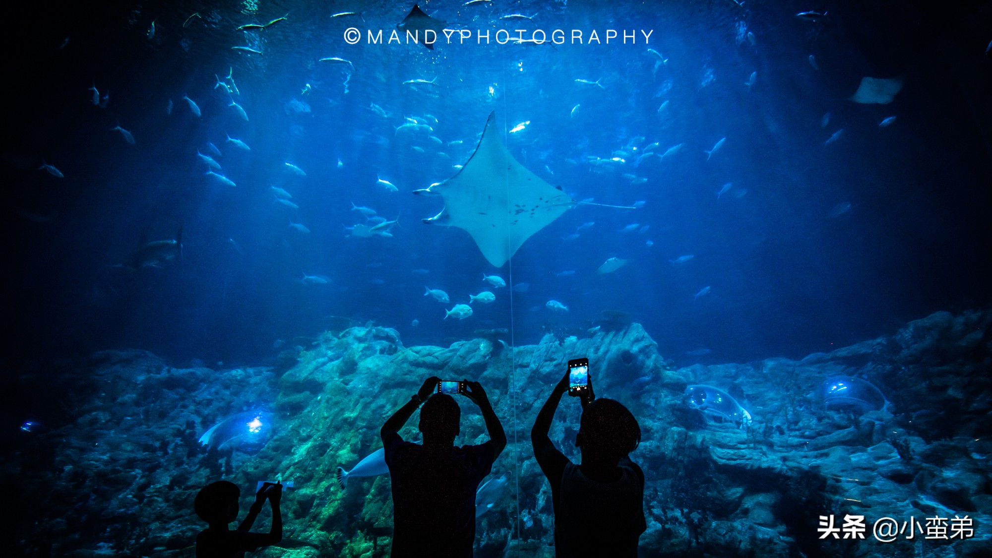 香港巡礼|是谁！敢拿水枪给20岁的海贼王庆生？