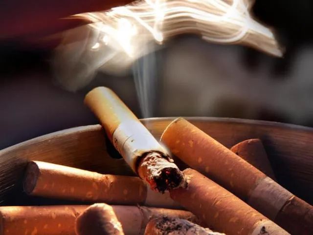 散文荐读,散文推荐有深度