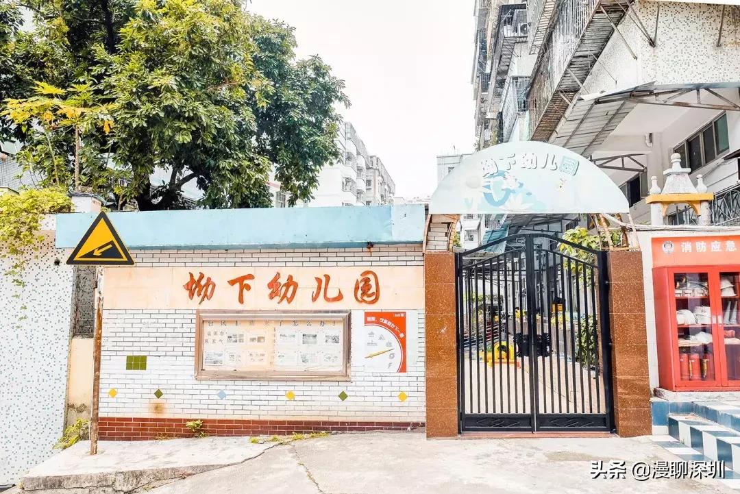 深圳空气中氡含量全国第一,深圳市负氧离子大概是多少