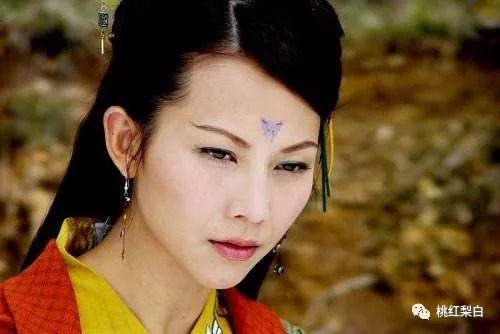 香江美人传奇李嘉欣,香江美人传奇洪欣