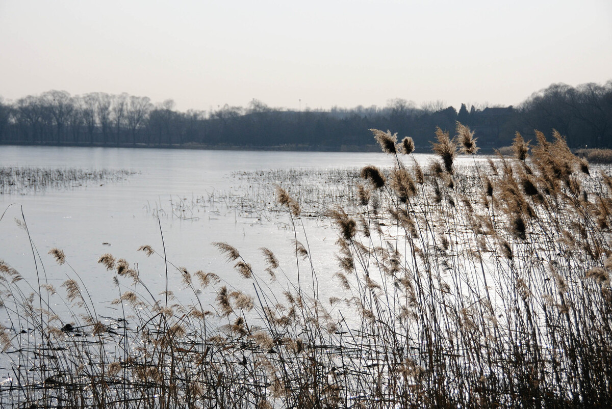 当你老了不能自理了,老人能自理却像废物一样让人伺候