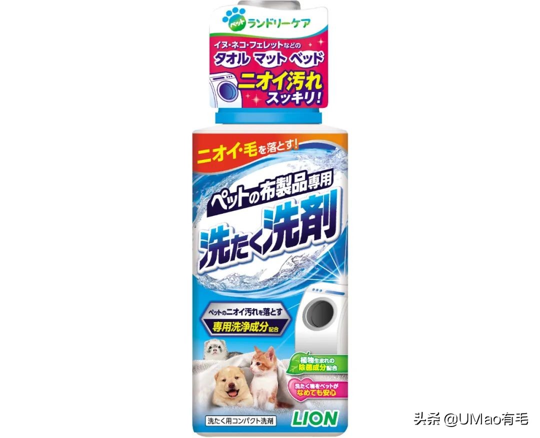 为什么养猫和想象中的不一样,为什么养猫比对自己的父母还好呢