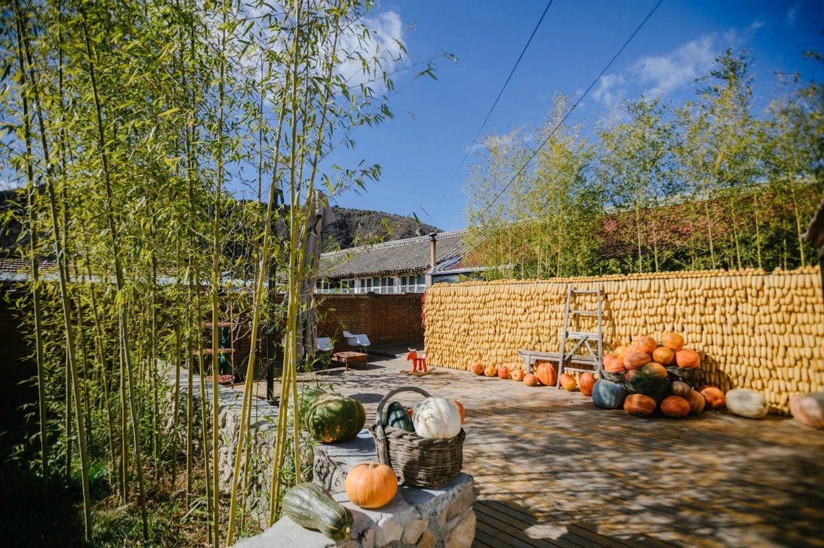 山野自然酷虫酷玩，玉米娃娃，一场自然与艺术融合的秋日盛宴