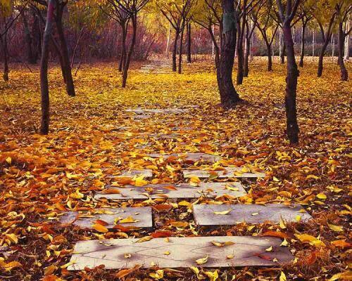 97岁老人摔倒骨折,90岁爷爷摔骨折怎么办