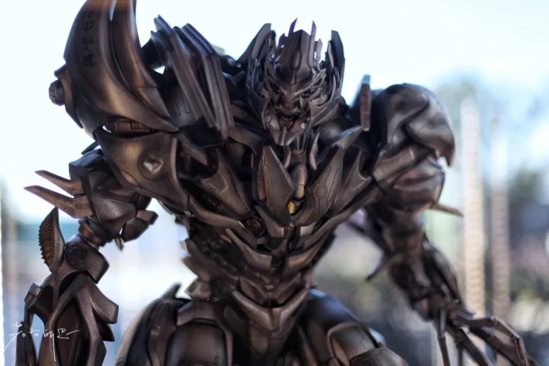 济州岛应该冬天去还是夏天去,冬日济州岛怎么玩