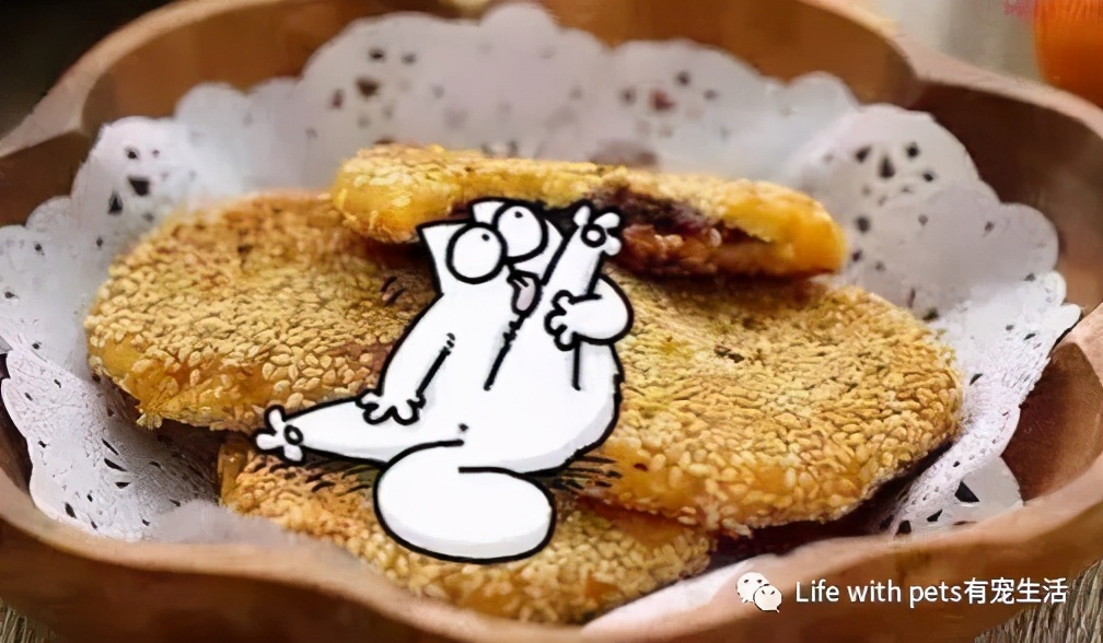 猫咪拉屎科普,猫咪屁屁的知识