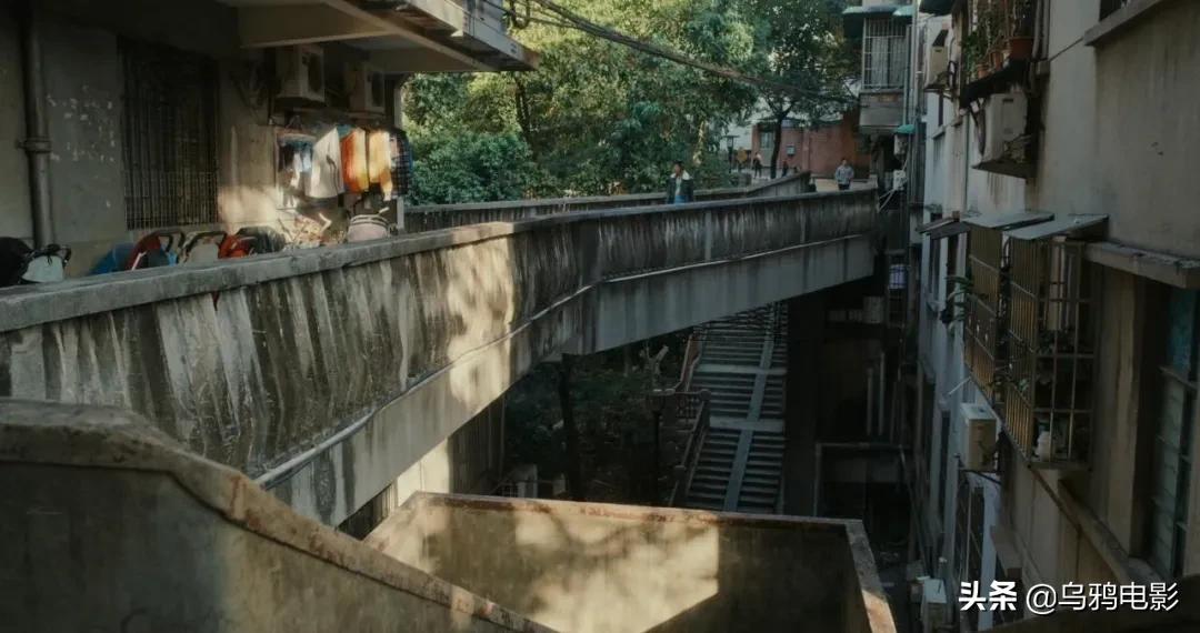 横扫电影节奖项,横扫国际影展