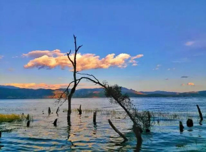 五一节大理景区哪些免票,五一大理免门票的景点有哪些