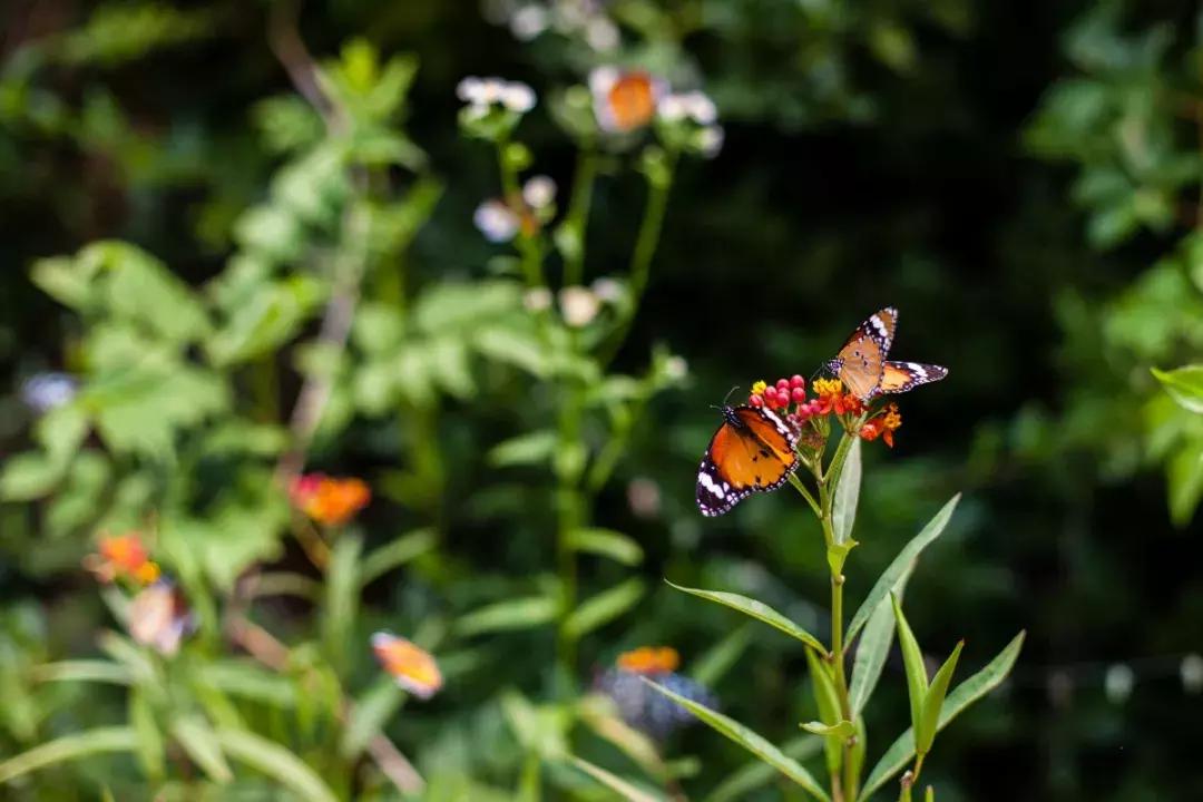 「文内福利」网红打卡地,五一来这嗨!