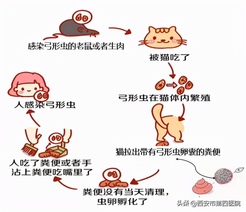 健康中国2030预防大于治疗,健康中国行动新生儿科