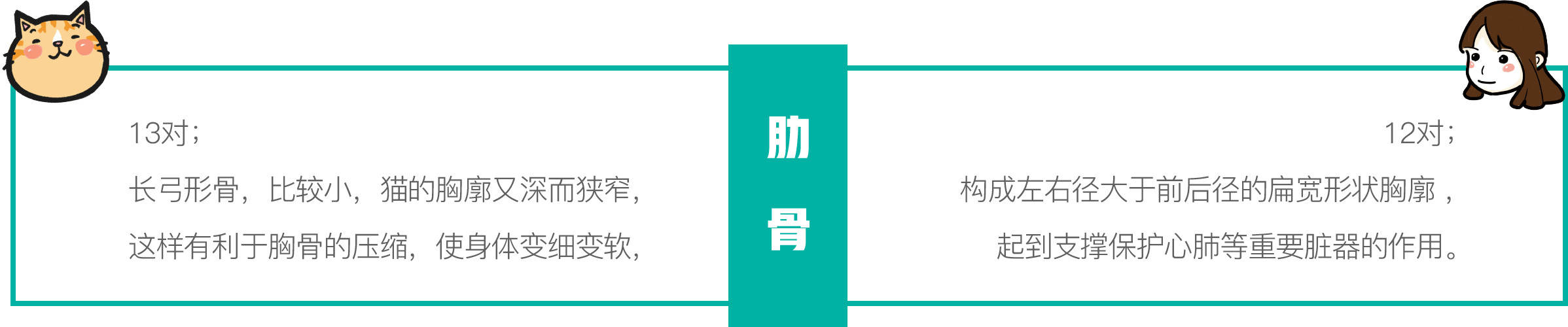只需一个容器,你就能收获一滩“液体猫”