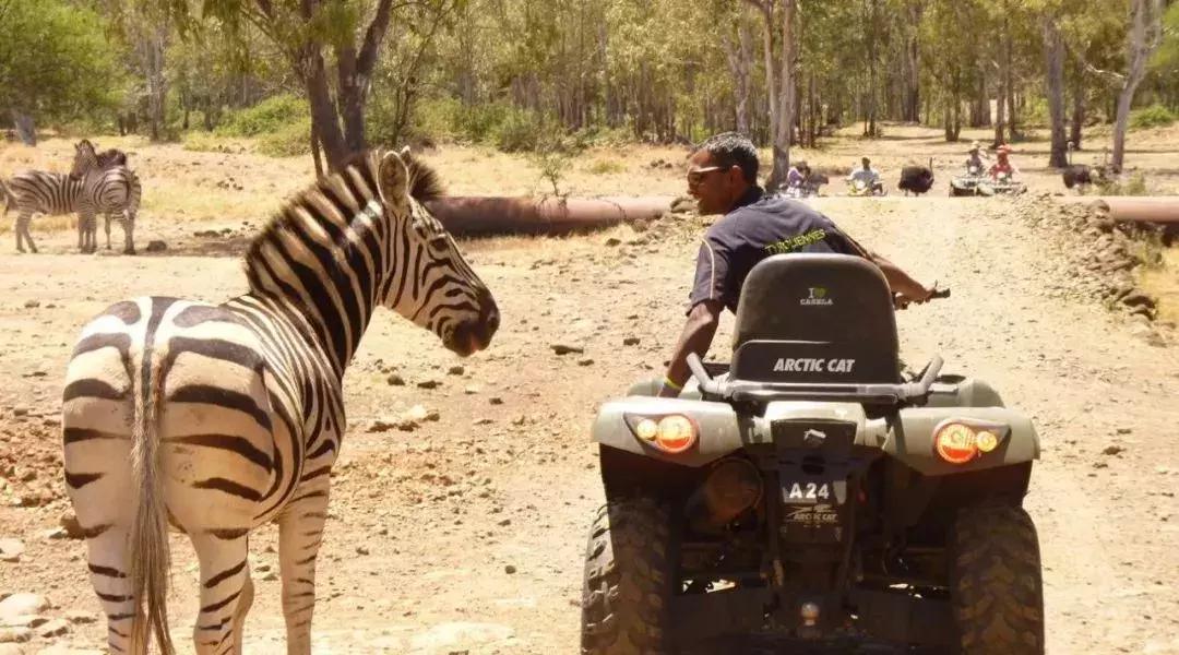 毛里求斯旅游攻略自由行,人均6000元游马尔代夫