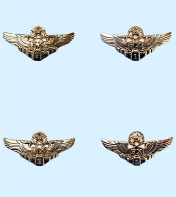 人民空军建军节是几号,空军建军70周年标识