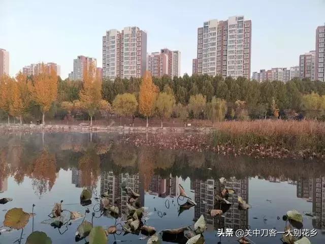 课文初冬的早晨,初冬的早晨问候