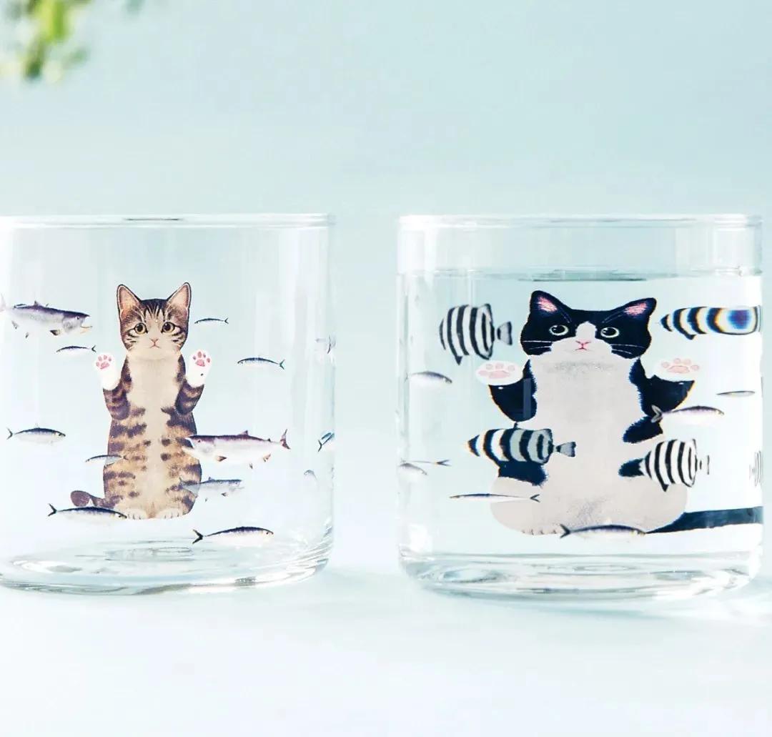 日本人又来骗猫奴们的钱啦！但我心甘情愿掏钱了！