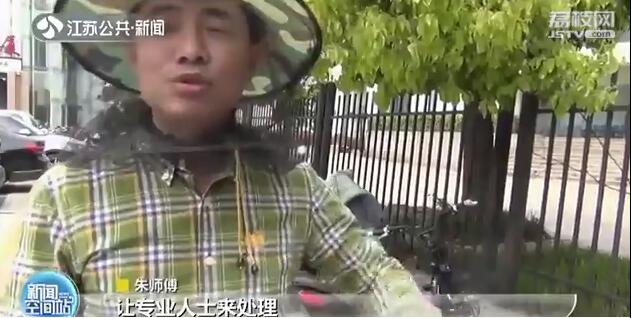 头皮发麻！万只蜜蜂聚集自行车篓专家“一窝蜂”全收
