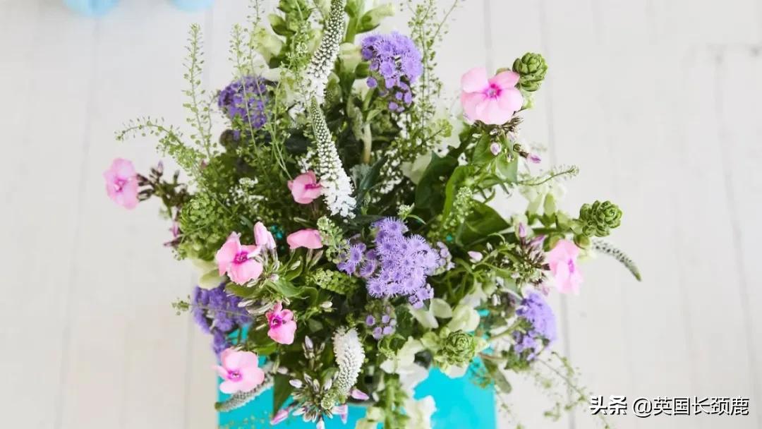 情人节来了怎么少的了fafa？英国鲜花速递服务大盘点：浪漫满分