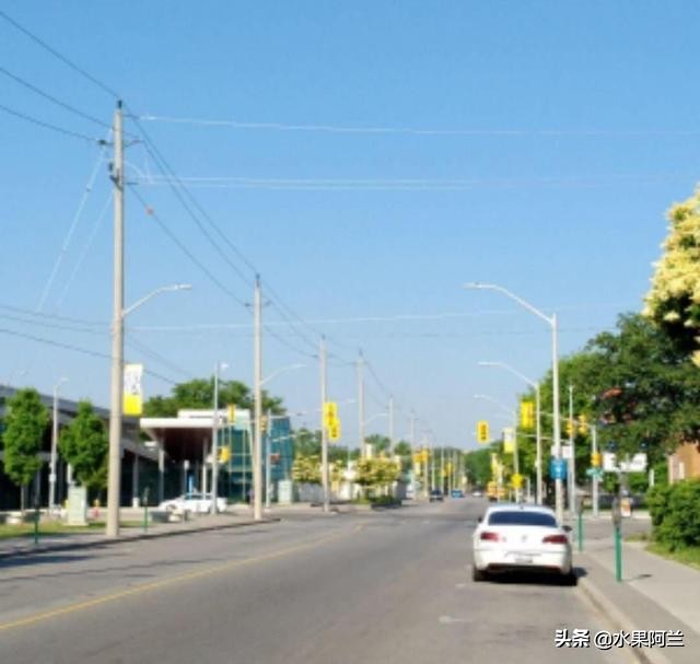 国际出行攻略,新西兰旅游攻略租车