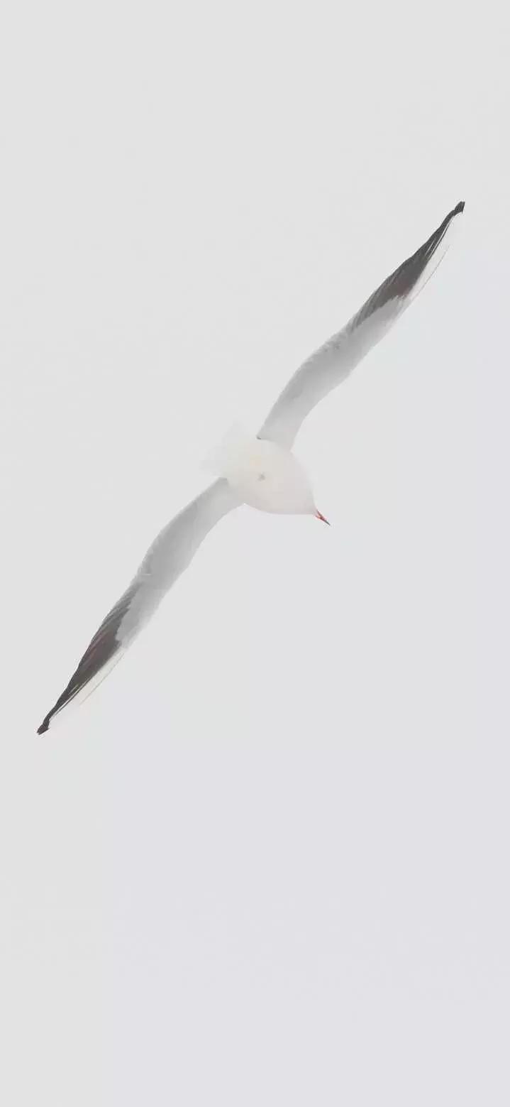 杭州西湖隐于山林之间的酒店,西湖云端酒店